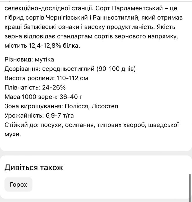 Овес. Сорт Парламентський, урожай 2025 року, перша репродукц