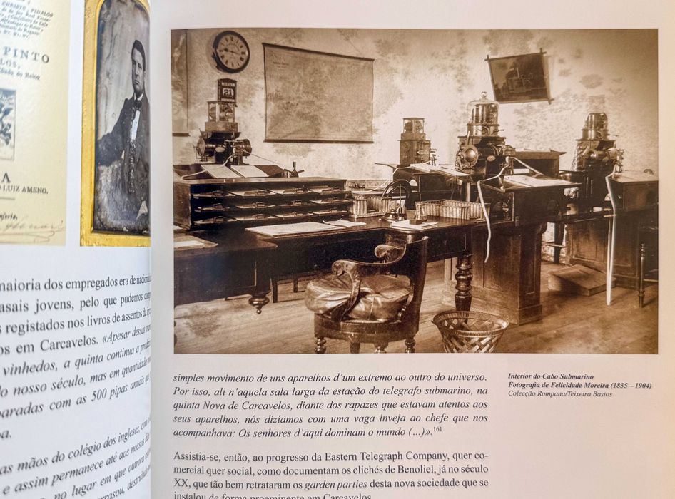 A vinha e o vinho em Carcavelos, Ana Duarte Baptista Pereira