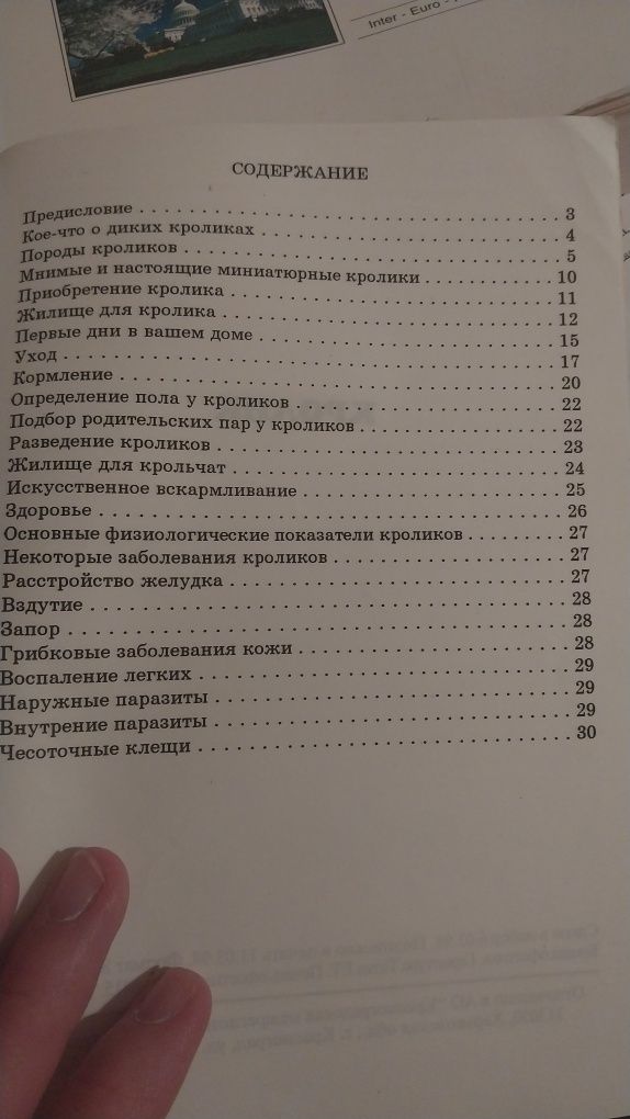 Все про содержание кроликов и разведение