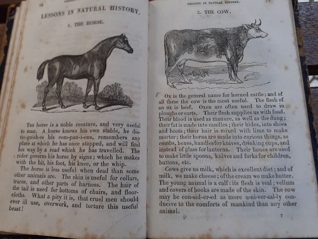2a edição , Livros escolares antigos de História  1909  e outro de Ing