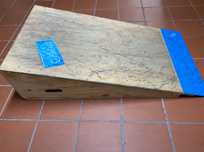 Rampa Kicker Skate