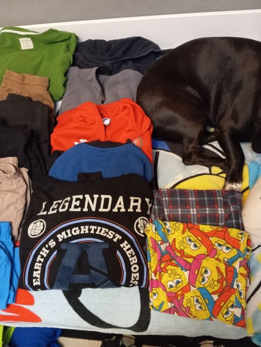 Paczka ubrań dla chłopca 146/152