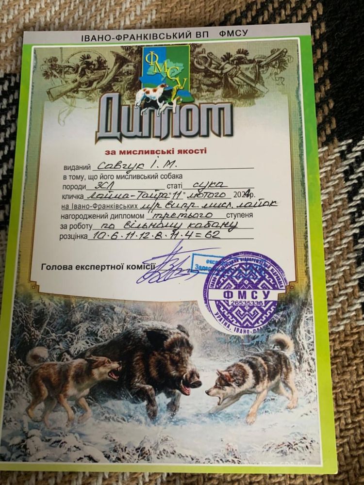 Західносибірська лайка