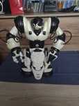 Robot zdalnie sterowany na pilota