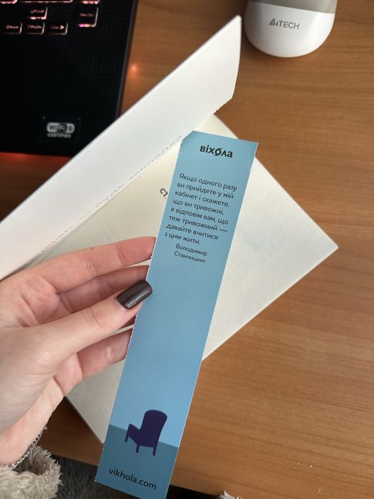 Стіни в моїй голові Володимир Станчишин