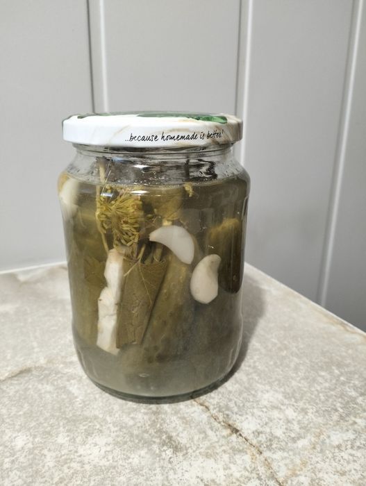 Ogórki kiszone domowe