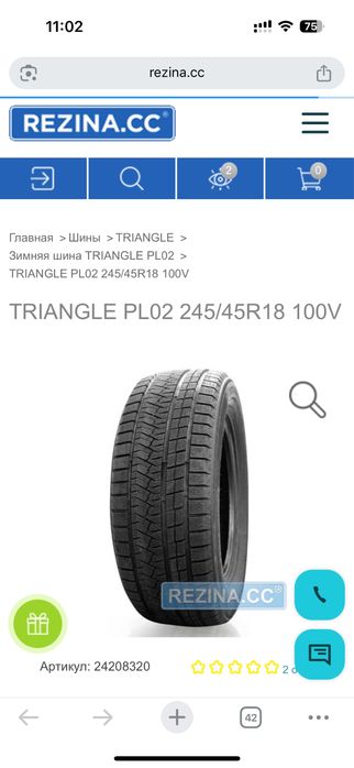 Зимние шины TRIANGLE PL02 245/45R18 100V