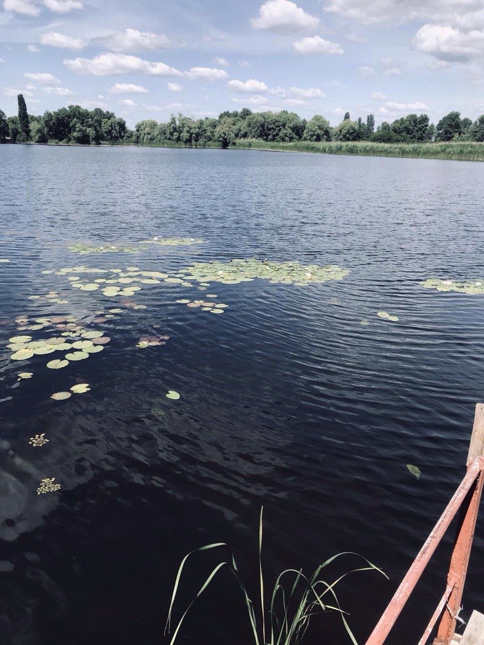 Оренда будинку подобово