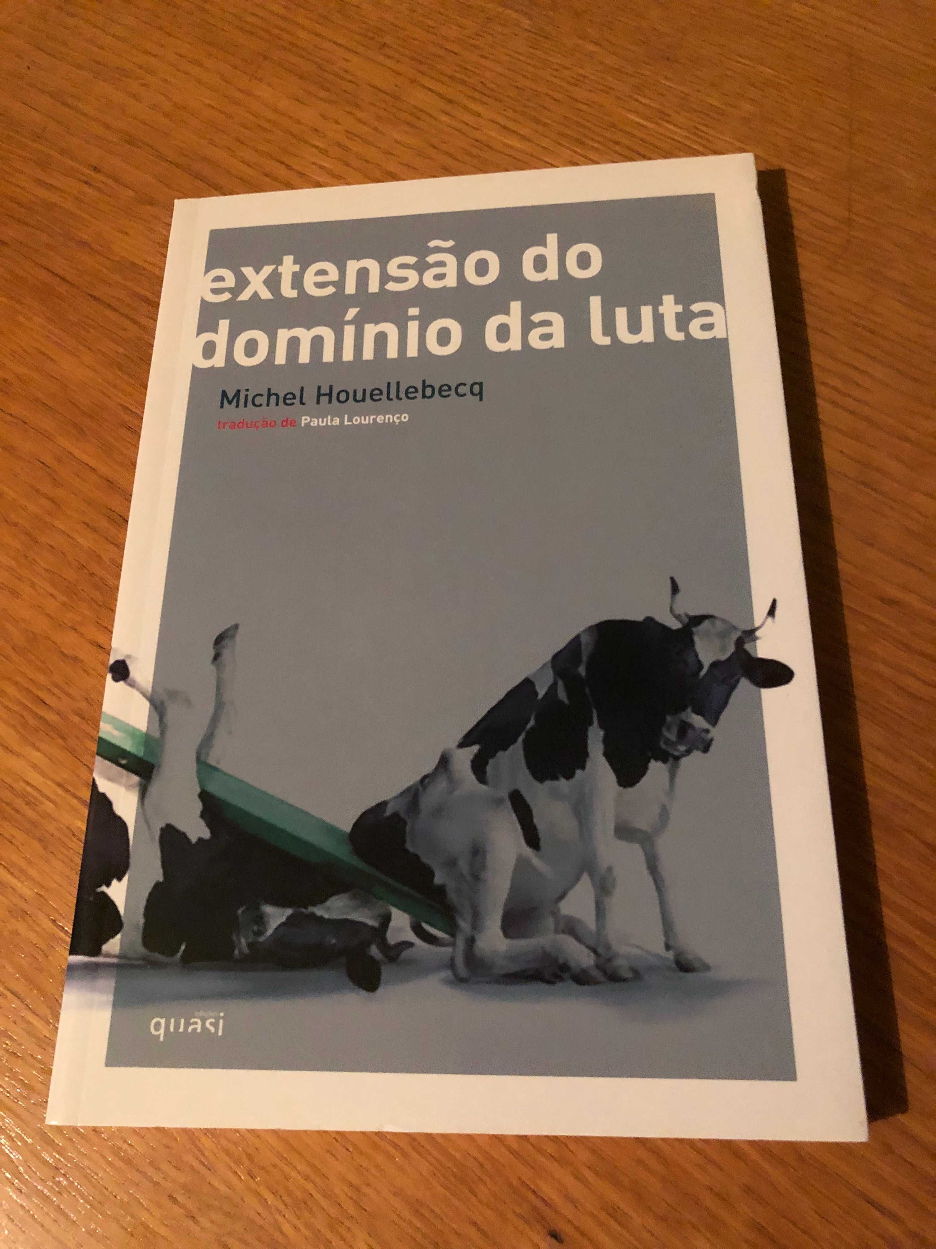 Extensão do domínio da luta   MICHEL HOUELLEBECQ