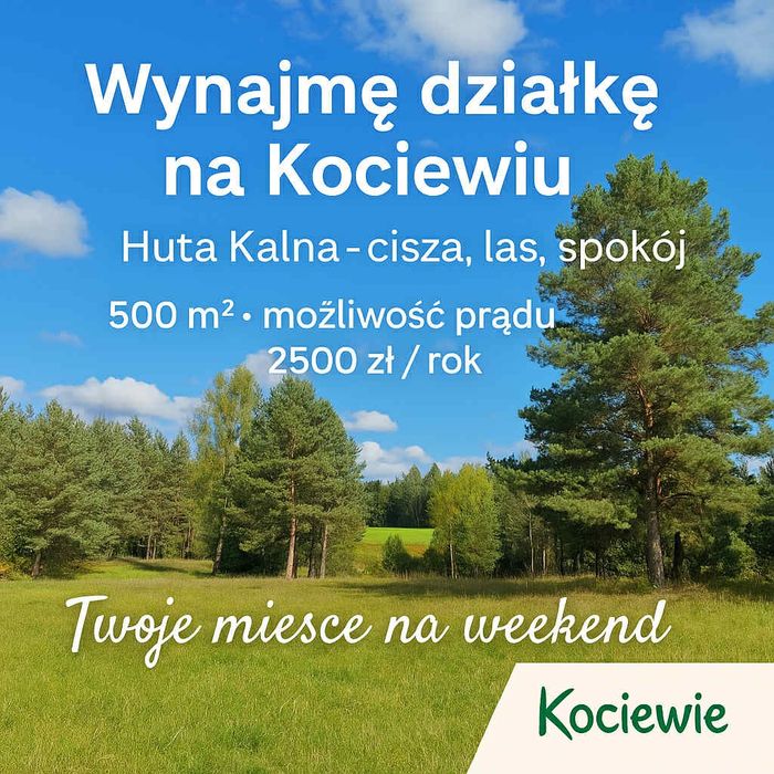 Wynajmę działkę w Hucie Kalnej – cisza, natura i spokój!