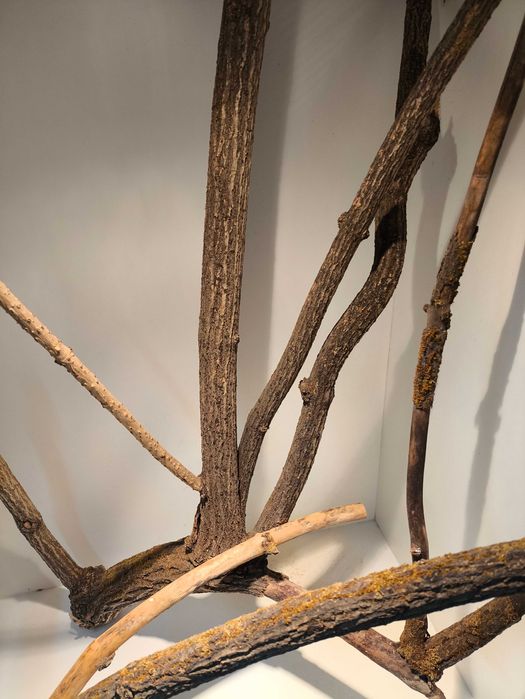 Duże terrarium 100x60x125 cm z płyty meblowej w kolorze białym.