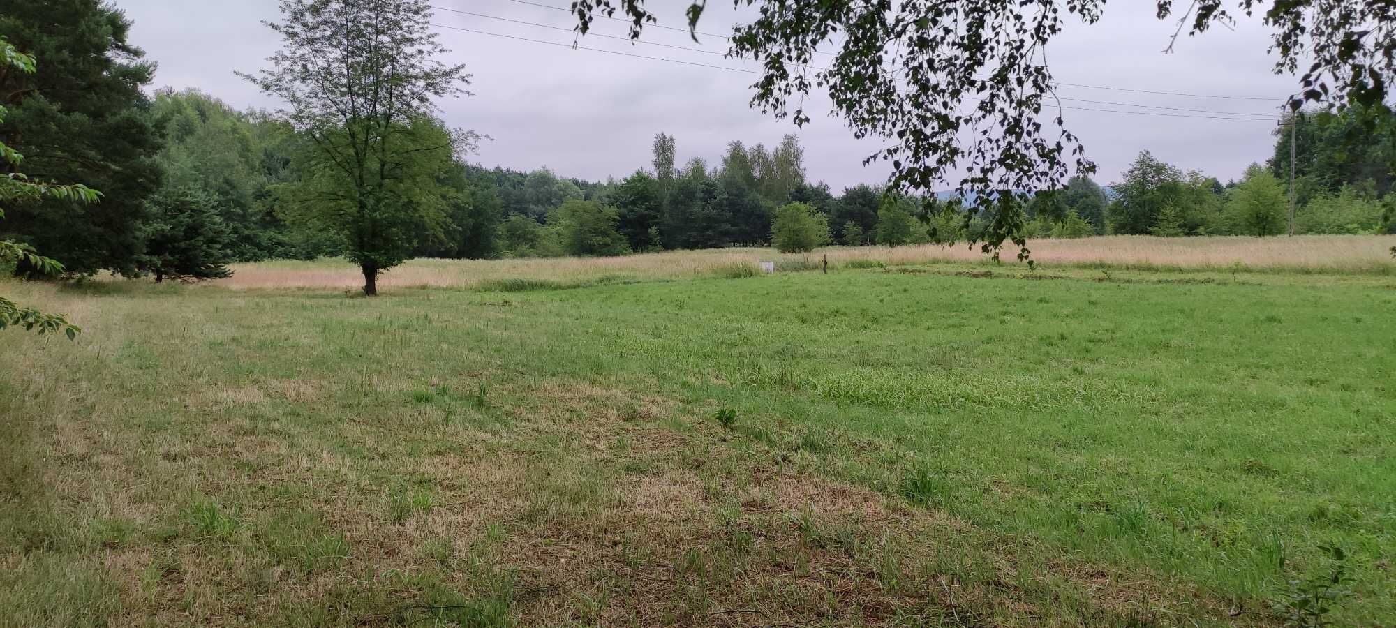 Działka z WZ na sprzedaż Żarki pod lasem