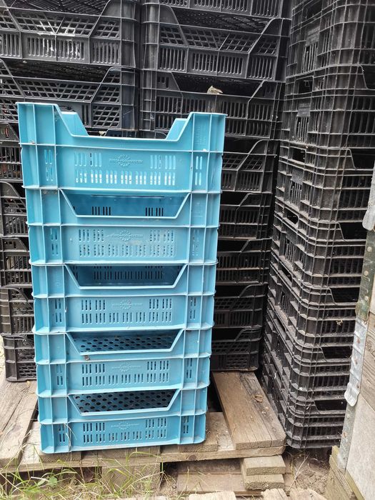 Skrzyneczki, skrzynki plastikowe CASI po pomidorach