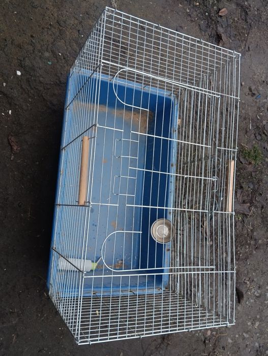 Клітка для гризунів