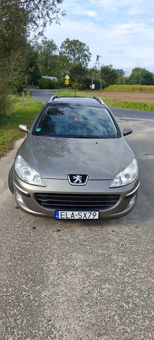 Peugeot 407 2.0 SW 2006 rok /Problem z elektryką