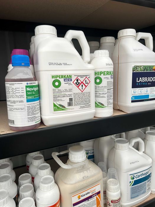 Środki ochrony roślin – jesienne zwalczanie chwastów w zbożach ozimych