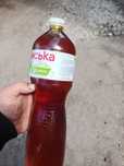 Продам масло веретенка