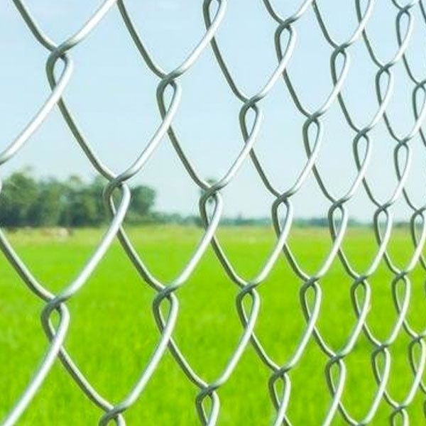 СІТКА ОЦИНКОВАНА,для огорожі рабиця ЗНИЖКИ на зимовий період!