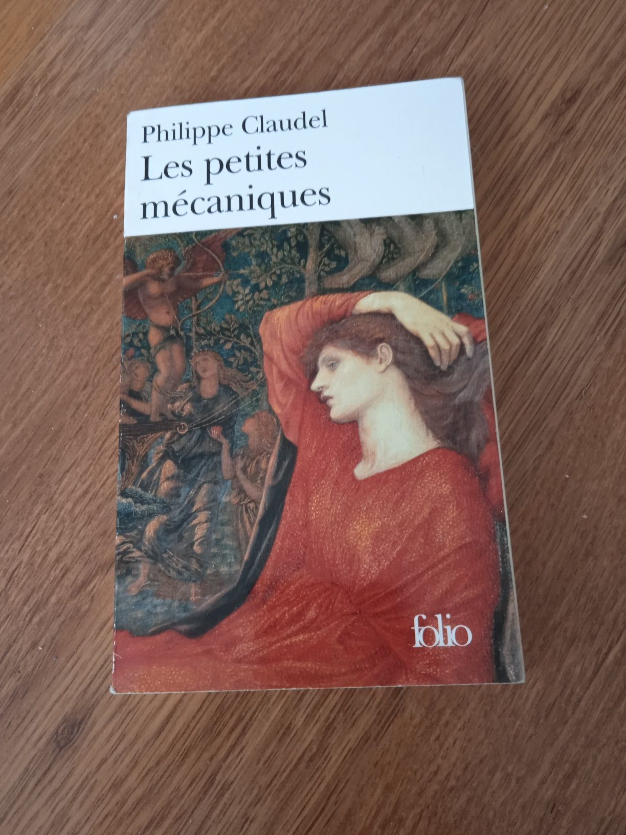 Książka "Les petites mecaniques "
