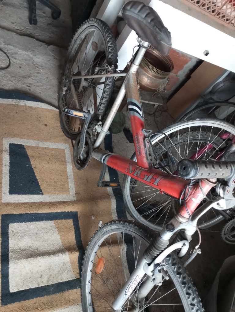 Bicicleta- Bike Zoom