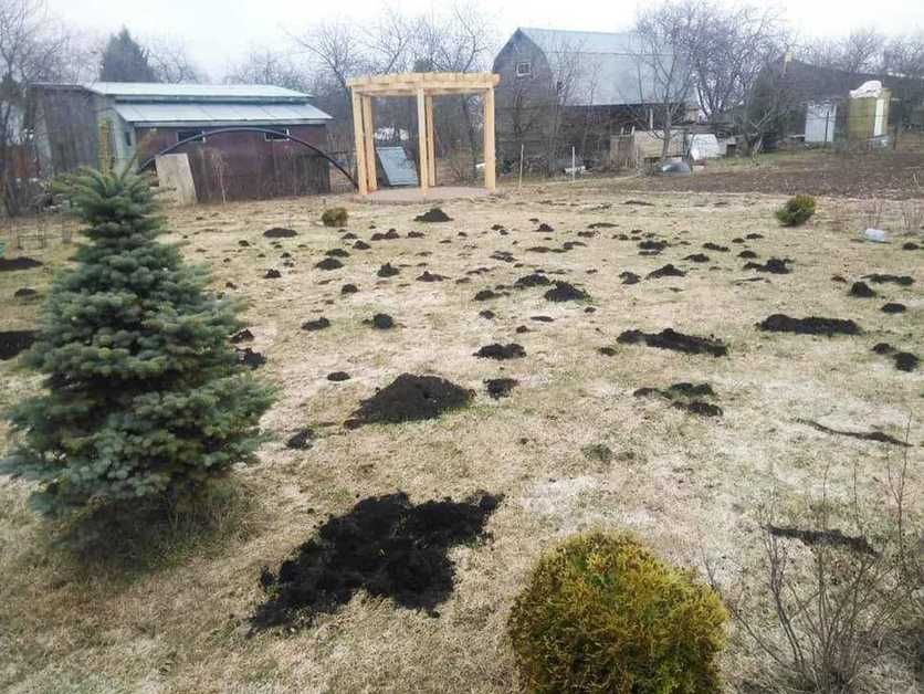 садовий інвентар п а с т к и вiд кротів