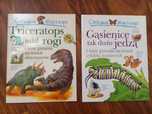 Ciekawe dlaczego gąsienice tak dużo jedzą / triceratops miał rogi
