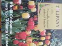 Tulipany historie kwiatów Czuksanow ogrody cebulowe