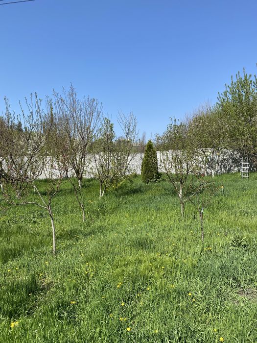 Продам ділянку Тополя, 12 Квартал, 20 сотих\21000$