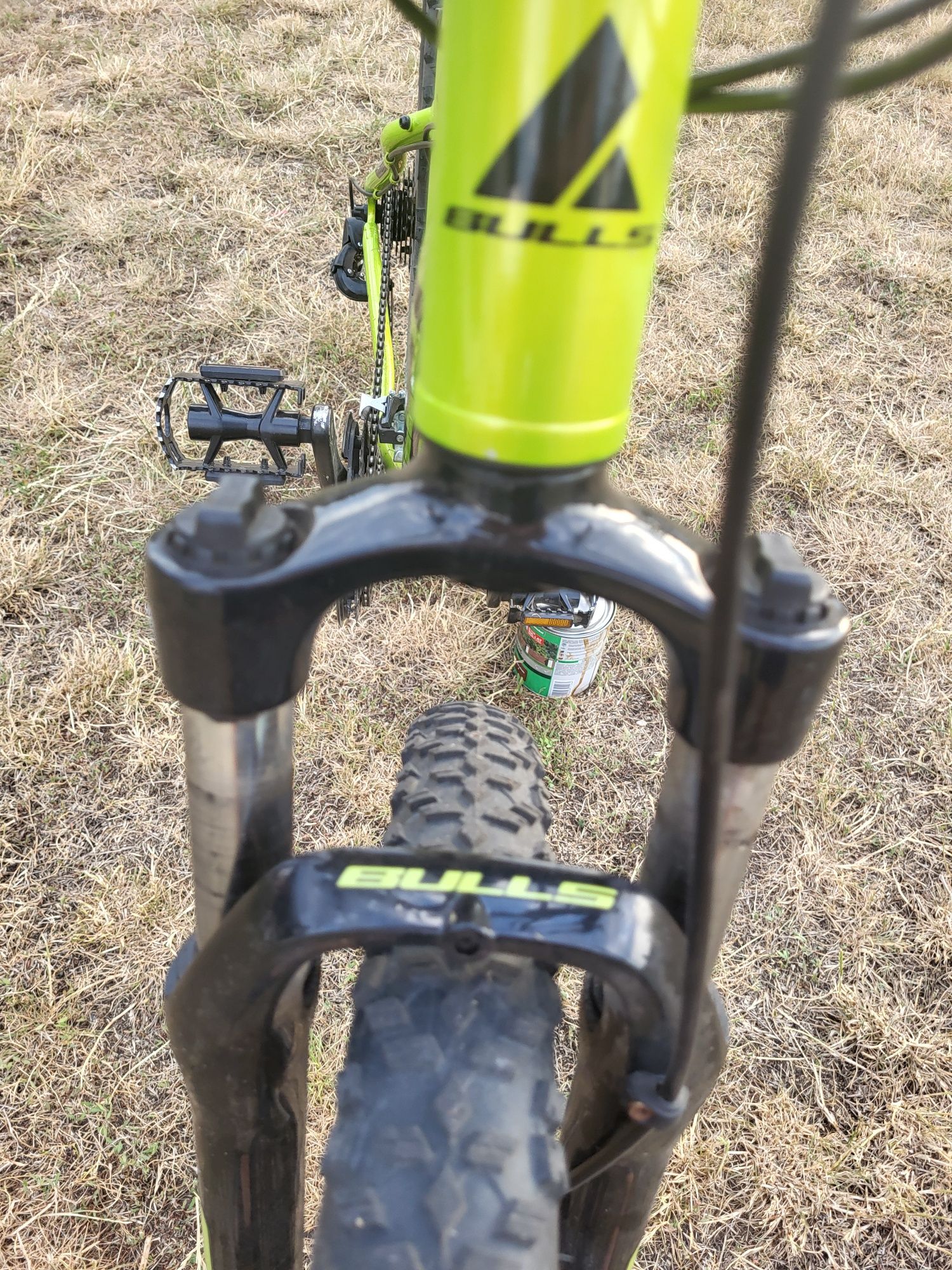 Rower bulls wildtail 1          26"