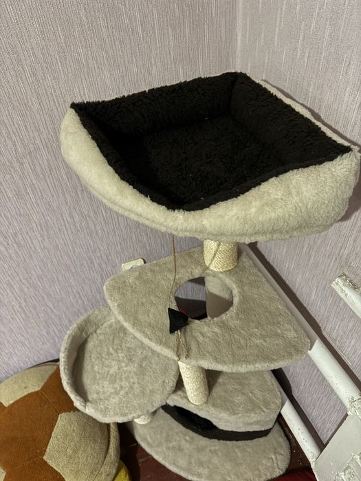 Кутова кігтеточка