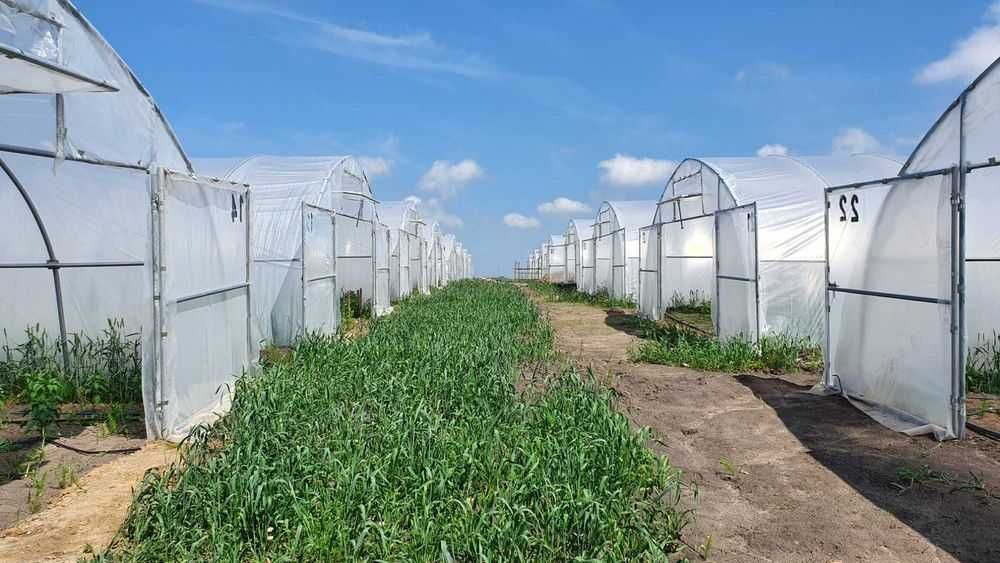 Ocynkowana konstrukcja tunelu foliowego 7,5x30x3m używana