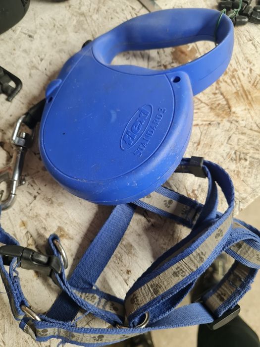 Smycz automatyczna flexi 5m i szelki