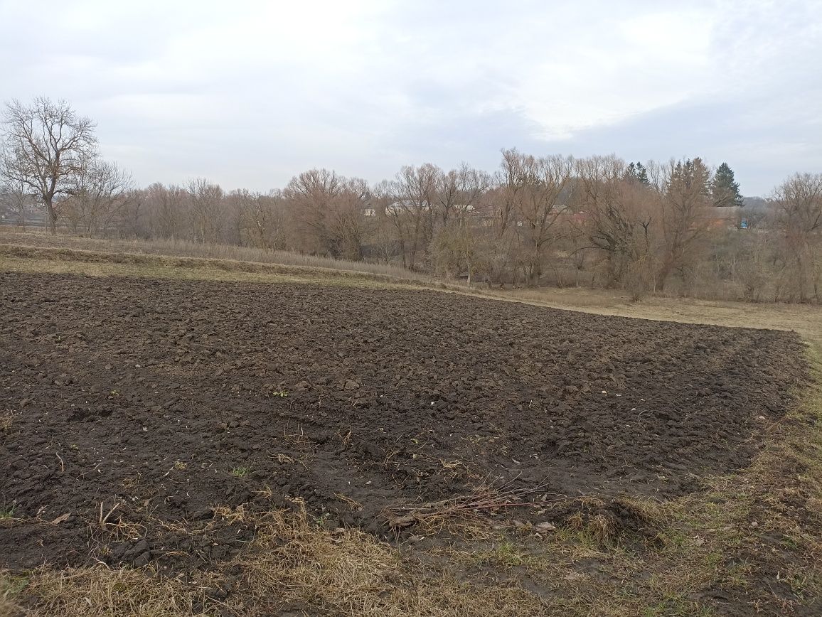 Продам цегляний будинок. село Черепівка