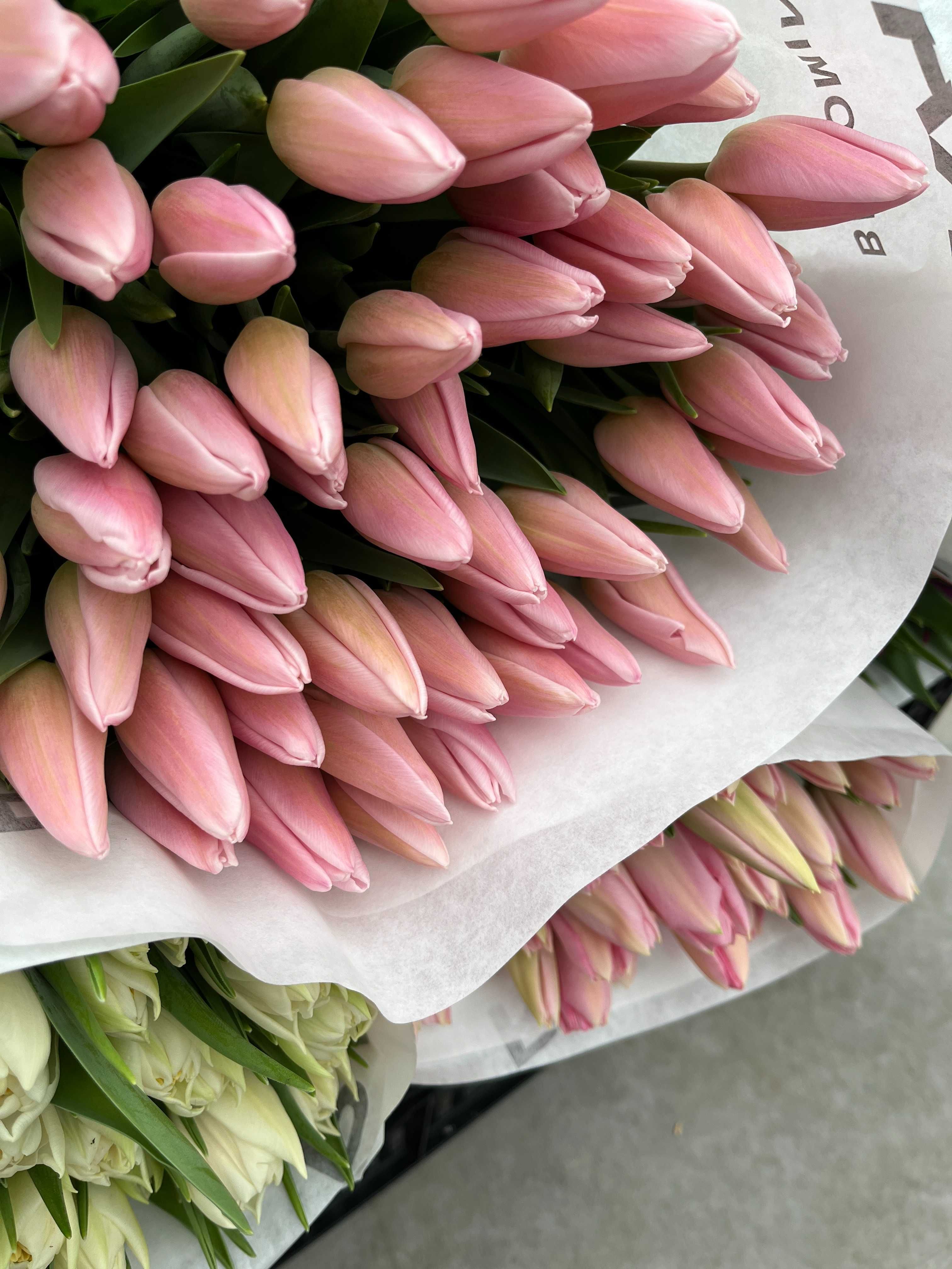 Купити Тюльпани до ДНЯ МАТЕРІ від виробника ДНІПРО вигідно ОПТ/ГУРТ