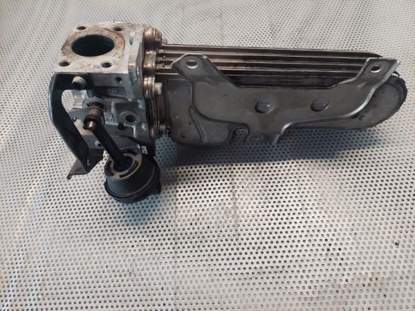 Radiador de gases / EGR VOLKSWAGEN Golf V (1K1)