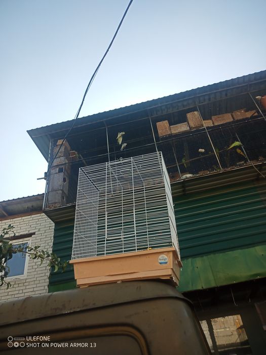 Клітки для папуг