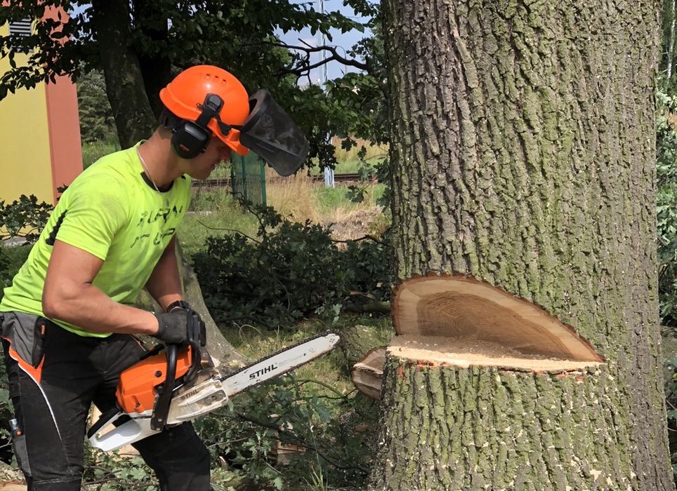 Koszenie trawy, nieużytków, wycinka drzew, frezowanie pni, karczowanie