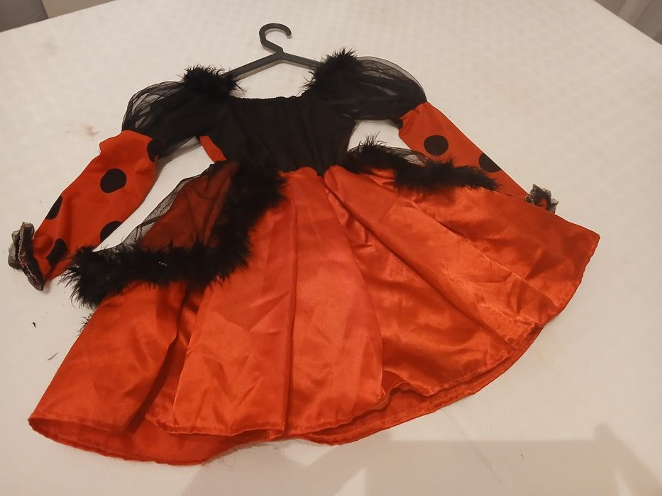 Fantasia Carnaval Joaninha