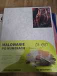 Obraz do malowania po numerach