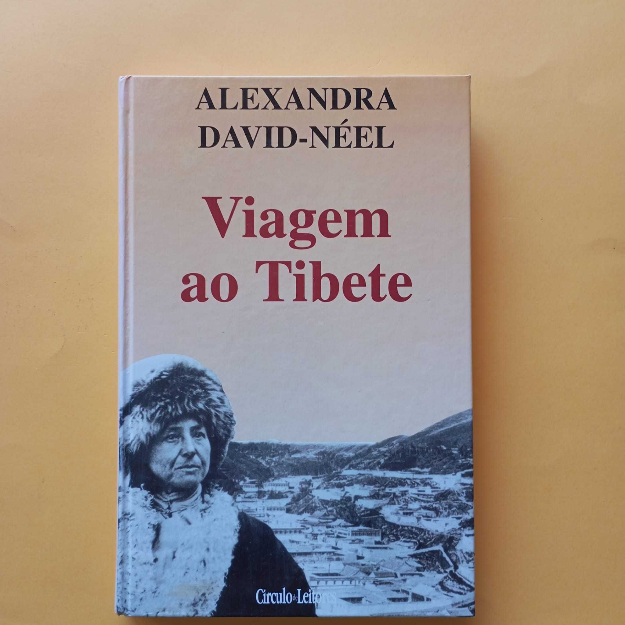 Coleção de Livros Mistos - Autores Variados - Conjunto 14