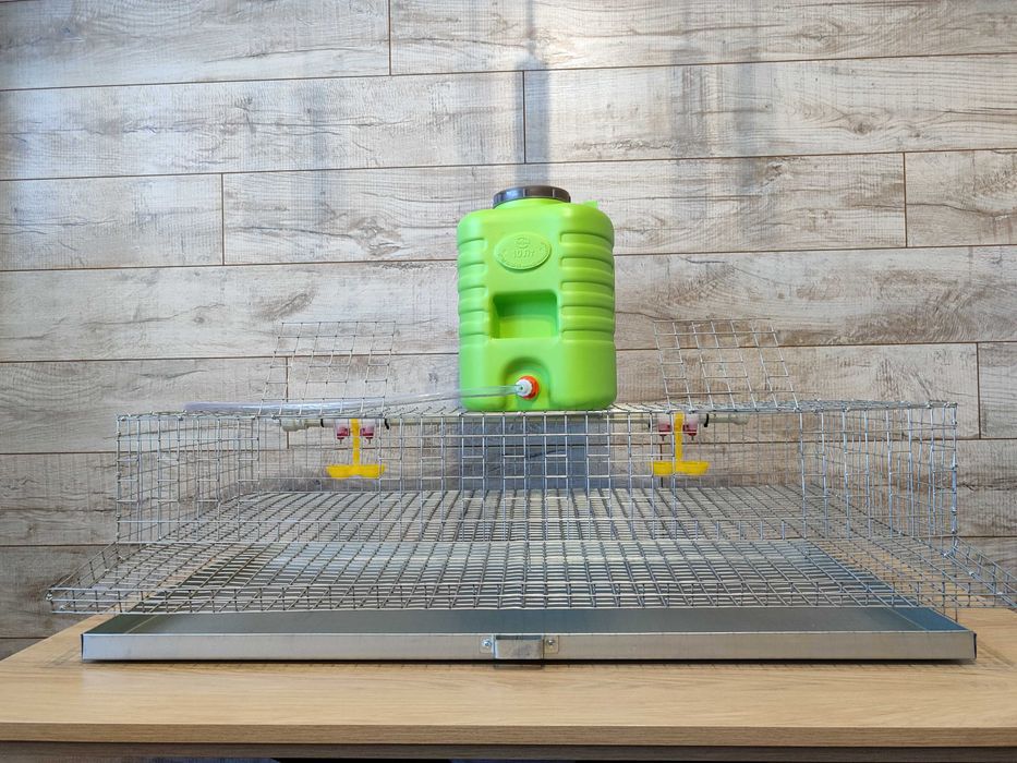 Клітка для перепелів