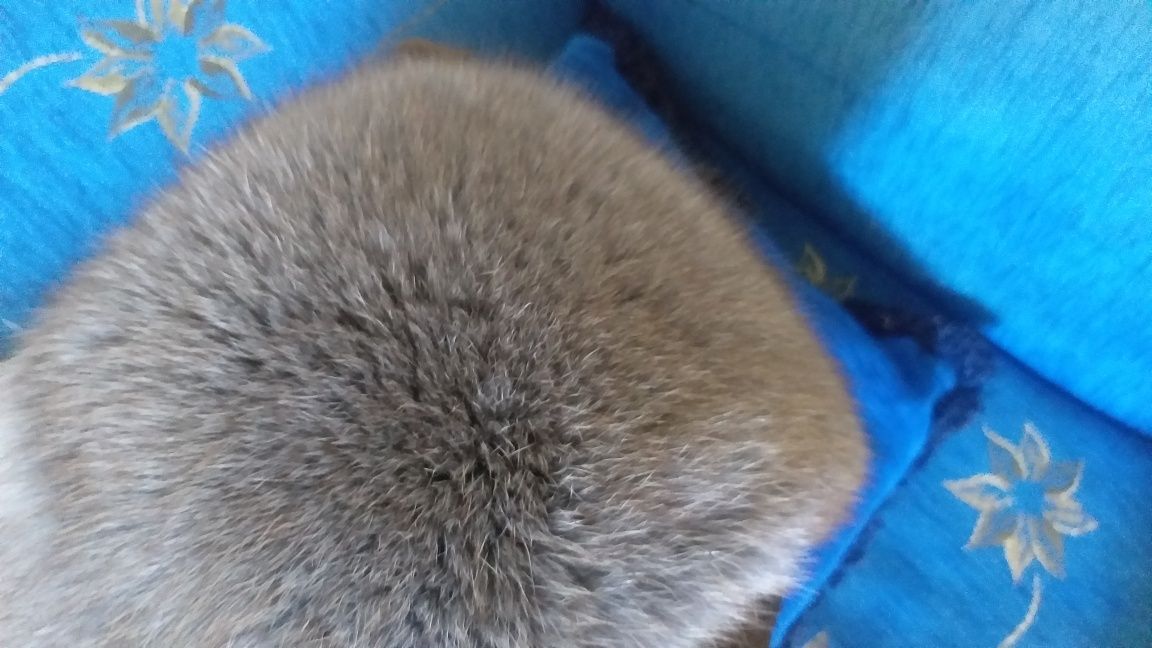 Женская шапка из песца.