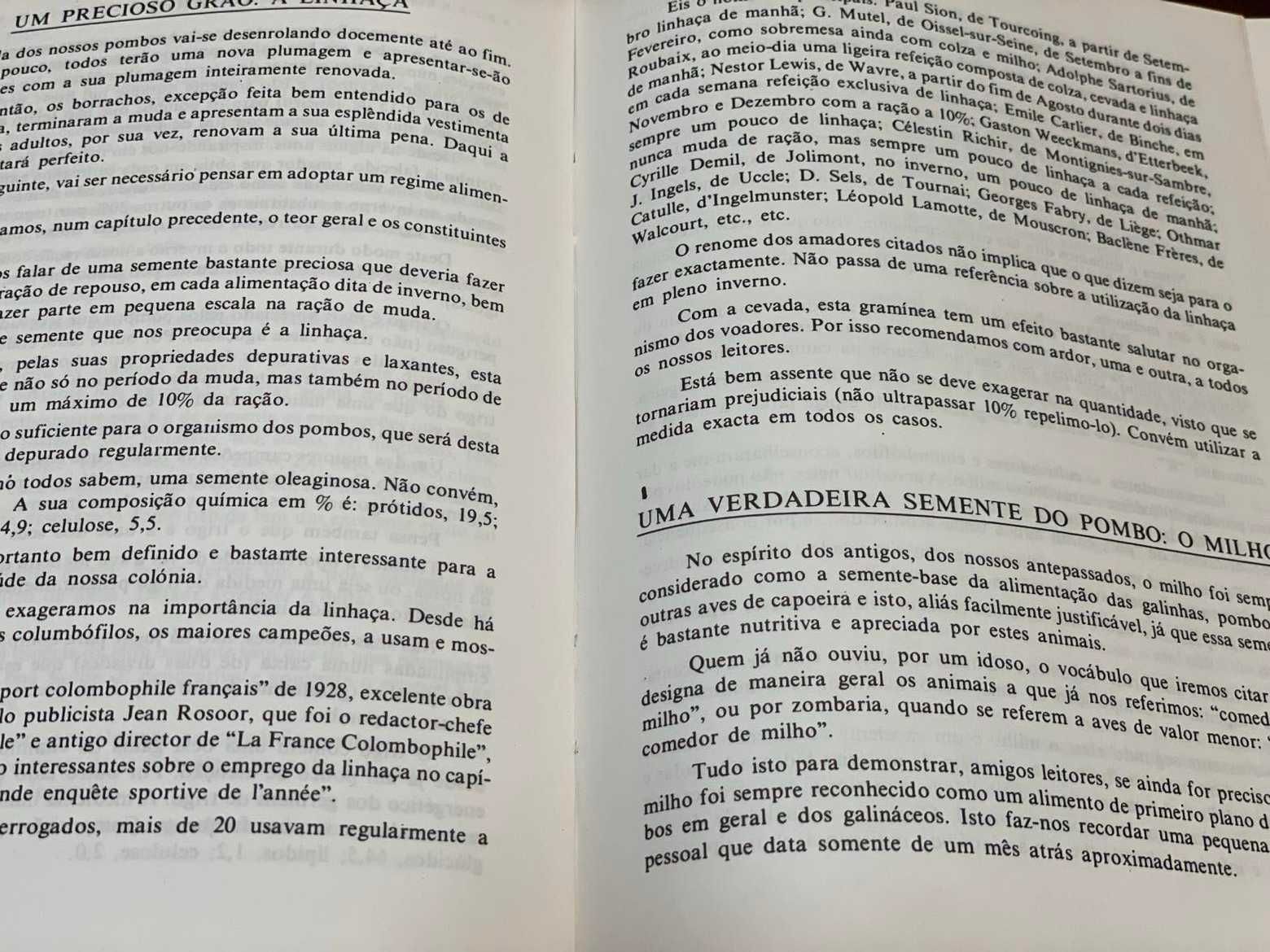 Livro de Columbofília "Num voo de pombos"  RESERVADO