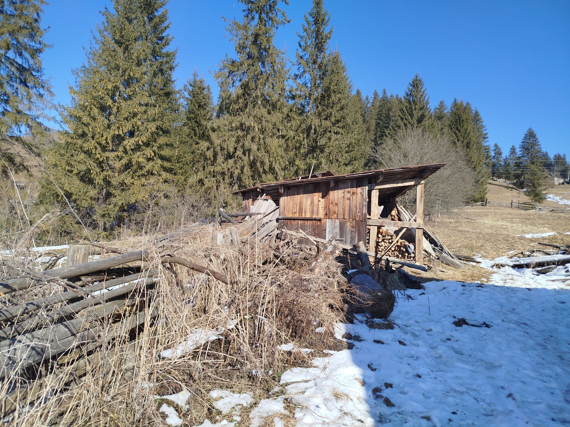 Будинок і земля в Карпатах, гори, ліс, струмок