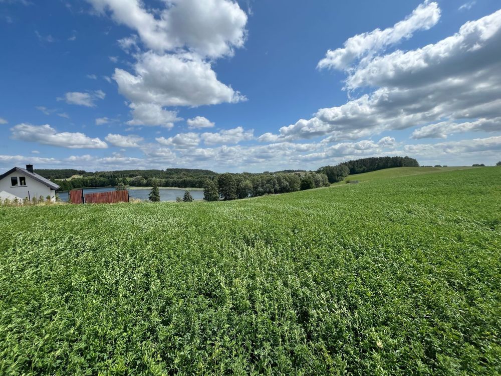 Działki budowlane nad jeziorem Jankowo koło Lipna