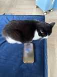 iPhone 14 pro 128gb