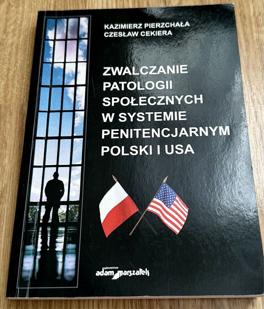 Zwalczanie patologii społecznych w systemie penitencjarnym Polski i US