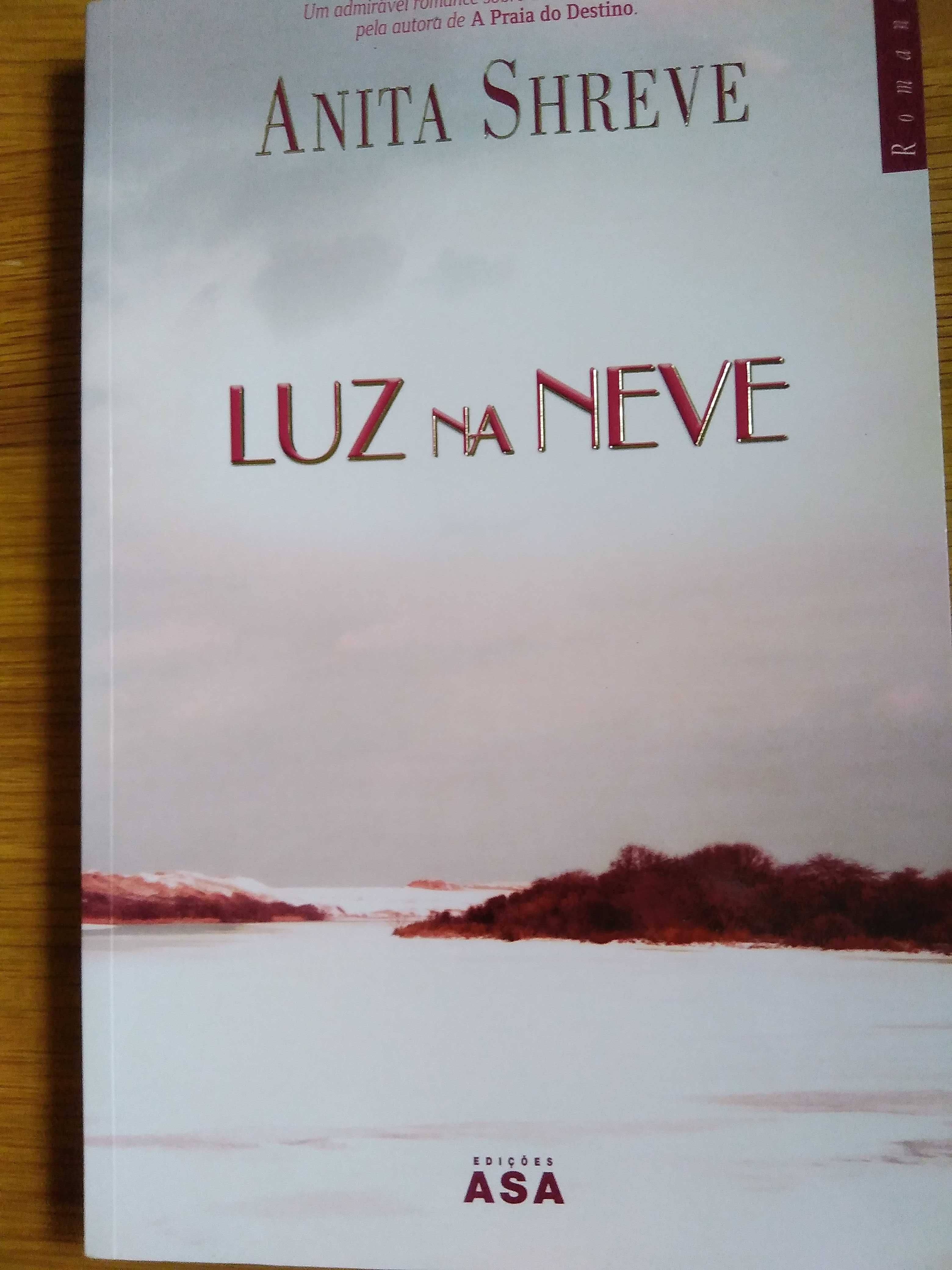 Luz na neve - Anita Shreve