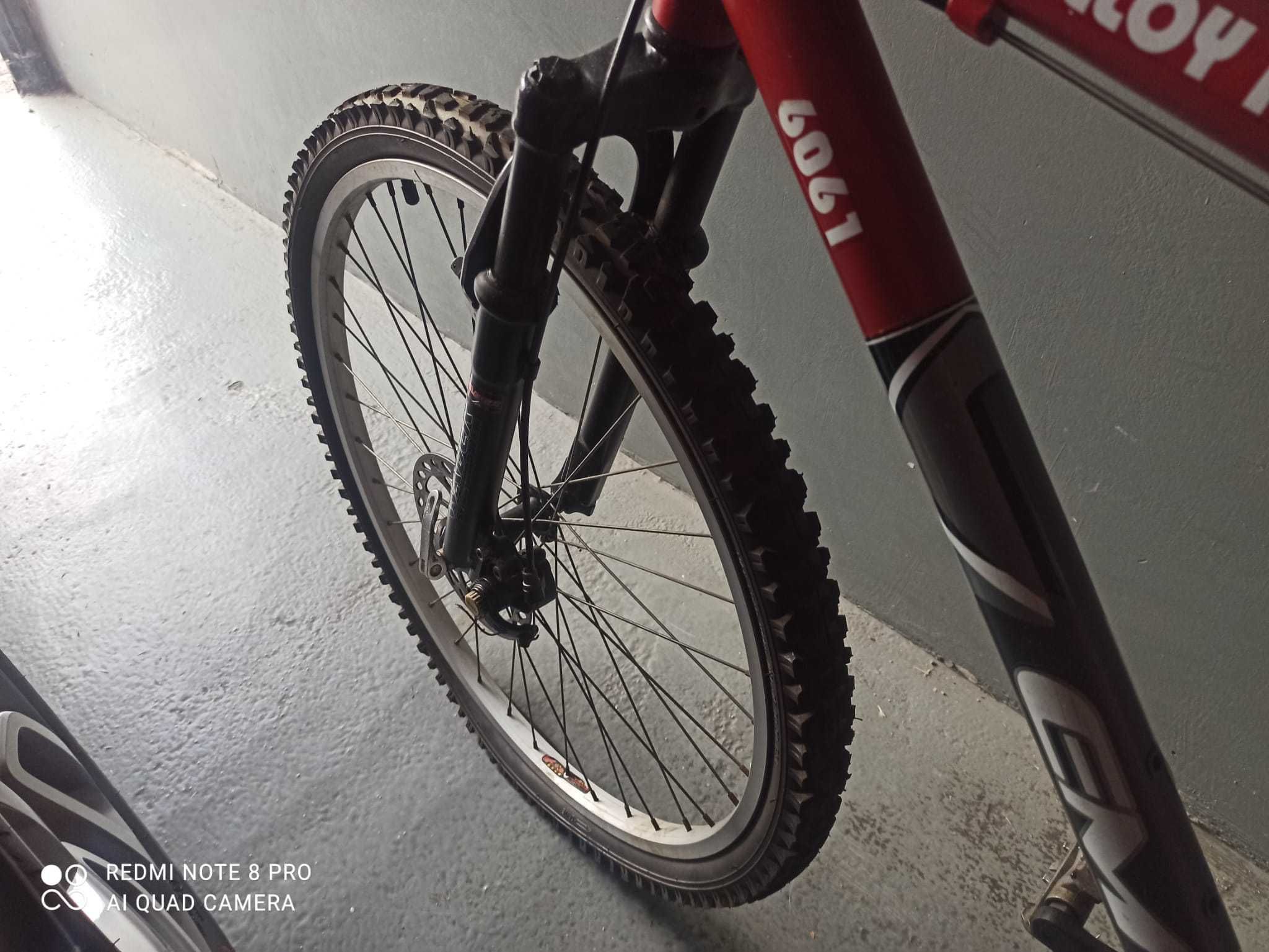 Bicicleta - Alloy frame