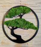 Dekoracja na ścianę drzewko ala Bonsai mech chrobotek